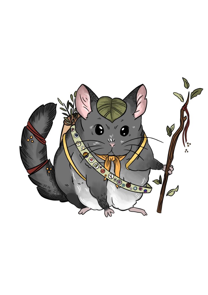 Chinchilla Pfadfinder